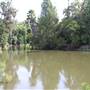 Los Angeles County Arboretum
