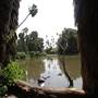 Los Angeles County Arboretum