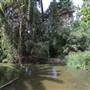 Los Angeles County Arboretum