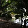 Los Angeles County Arboretum