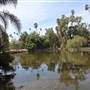 Los Angeles County Arboretum