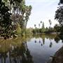 Los Angeles County Arboretum
