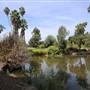 Los Angeles County Arboretum