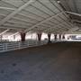 Kern County Fair - 15th DAA