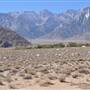 Alabama Hills - Bureau of Land Management / BLM - Bishop Field Office