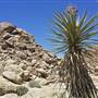 Desert View Conservation Area