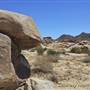 Desert View Conservation Area
