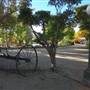 Skyotee Ranch