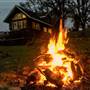 Cosumnes River Ranch