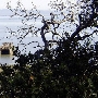 China Camp State Park (SP)