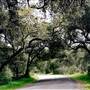 Carmel Valley Road / Monterey County Route G16