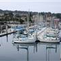 Monterey - Coastal Views