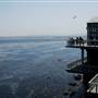 Monterey - Coastal Views