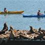 Moss Landing