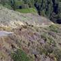 Nacimiento Fergusson Road - Forest Road No. 22S01