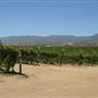 Joyce Winery (fka Ventana Vineyards)