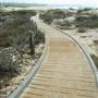 Asilomar State Beach and Conference Grounds