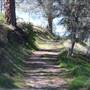 Ridge Route Ranch