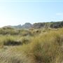 Caspar Headlands State Beach (SB)