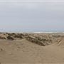 MacKerricher State Park (SP) - Inglenook Ten Mile Preserve - northern stretch - aka Ten Mile Dunes
