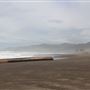 MacKerricher State Park (SP) - Inglenook Ten Mile Preserve - northern stretch - aka Ten Mile Dunes