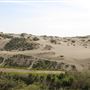 MacKerricher State Park (SP) - Inglenook Ten Mile Preserve - northern stretch - aka Ten Mile Dunes