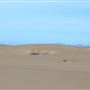 MacKerricher State Park (SP) - Inglenook Ten Mile Preserve - northern stretch - aka Ten Mile Dunes