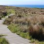 Navarro Point Preserve and Coastal Trail