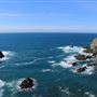 Navarro Point Preserve and Coastal Trail