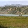 Ten Mile Estuary State Marine Conservation Area - Ten Mile River