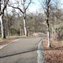 Shasta County Trails