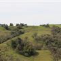 Anderson Valley Region - Mendocino County