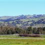 Anderson Valley Region - Mendocino County