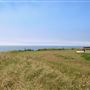 Noyo Headlands Park