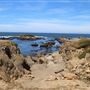 Noyo Headlands Park
