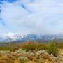 Rancho Grande