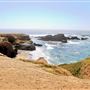 Van Damme State Park (SP) / Beach / Pygmy Forest / Fern Canyon Trail / Spring Ranch Trail