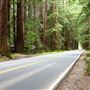 Highway 128 - Anderson Valley corridor