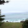 Boardwalk at Laguna Point @ (MacKerricher State Park)