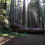 Navarro River Redwoods State Park (SP)