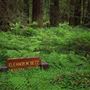 Navarro River Redwoods State Park (SP)