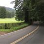 Comptche-Ukiah Road (eastward from Comptche) / aka Orr Springs Road