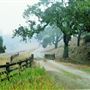 Alisal Ranch