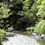 Alliance Redwoods Conference Grounds