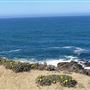 Bodega Bay Coast