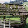 Browder Ranch