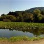 Casini Ranch Family Campground