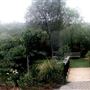 The Bodega Bay Secret Gardens - fka Compass Rose Garden