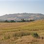 Crane Creek Regional Park