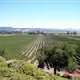 Gloria Ferrar Champagne Caves